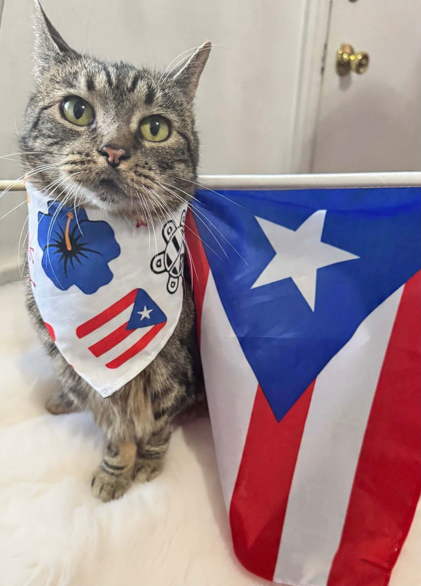 Puerto Rico Pet Bandana 1PC