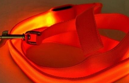 Secure Night Walk LED Dog Leash