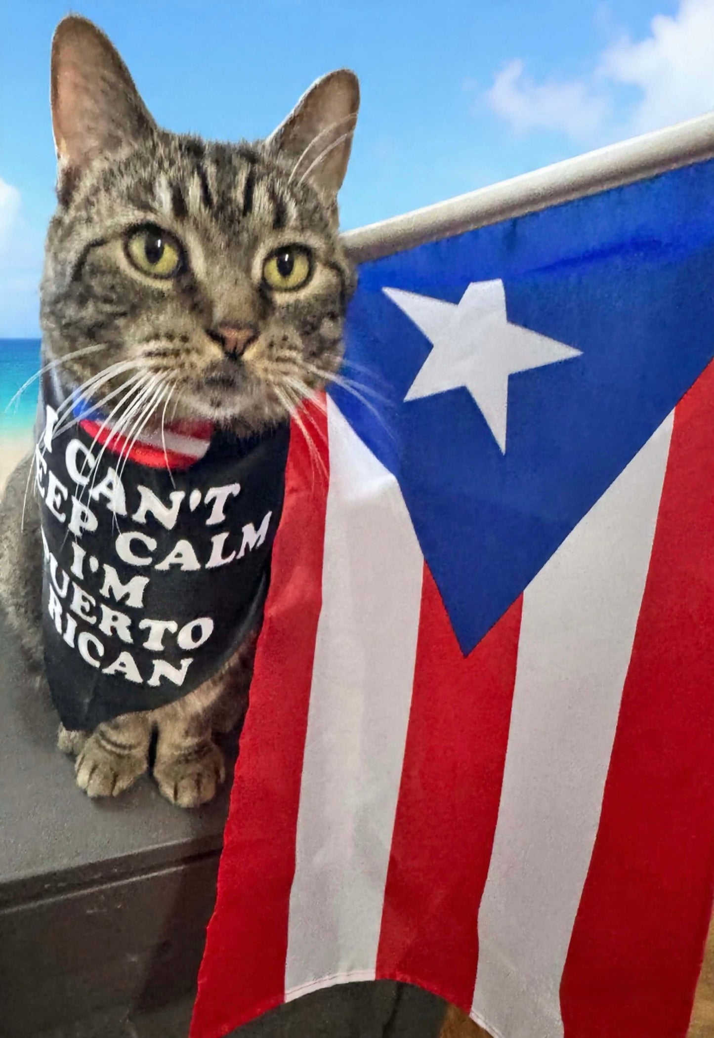 Puerto Rico Pet Bandana 1PC