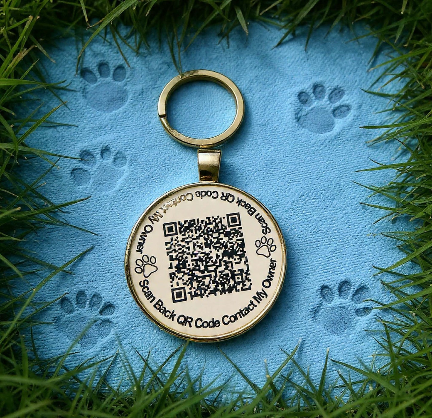 QR Pet Tag