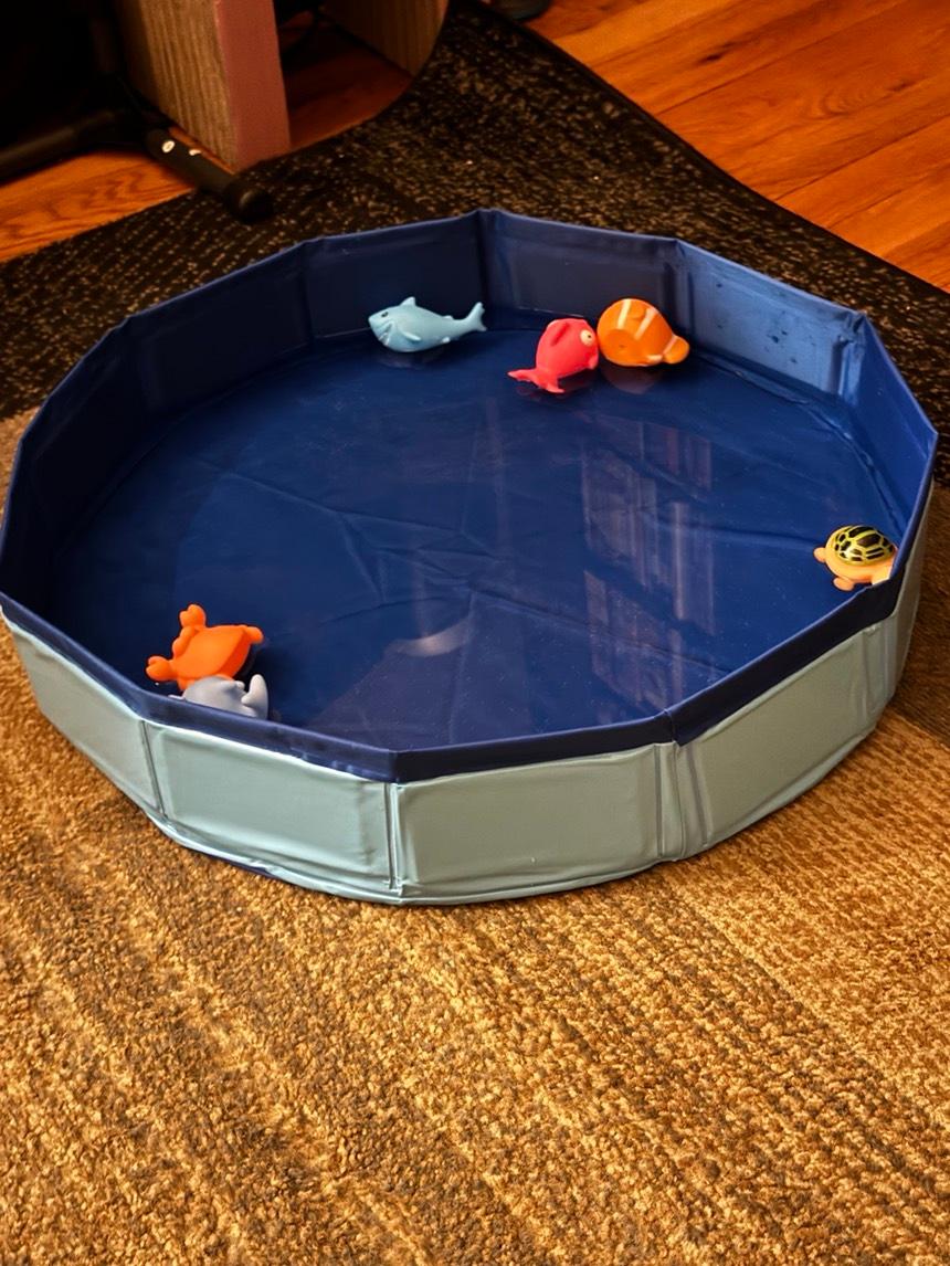 Foldable Pet Water Play Mat