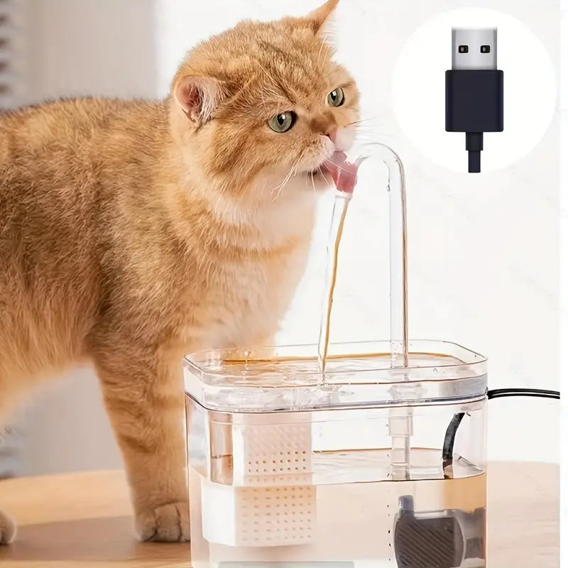 Pet Water Fountain-Black Transparent