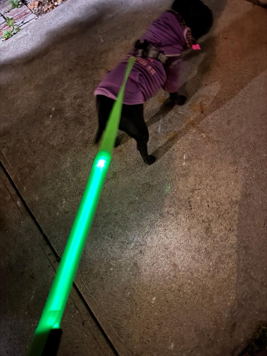 Secure Night Walk LED Dog Leash