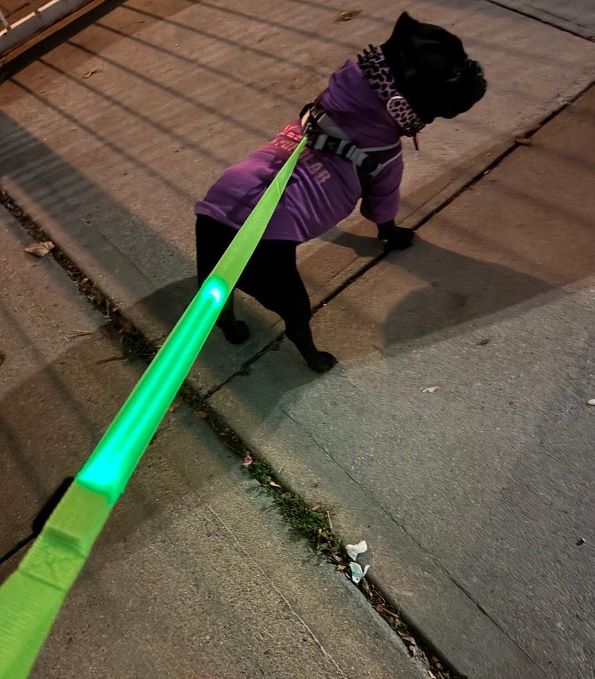 Secure Night Walk LED Dog Leash