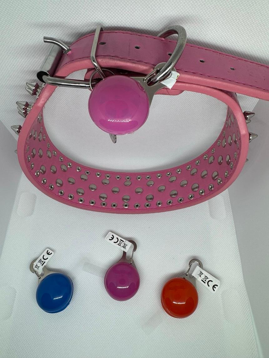 LED Safety Collar Light Charm