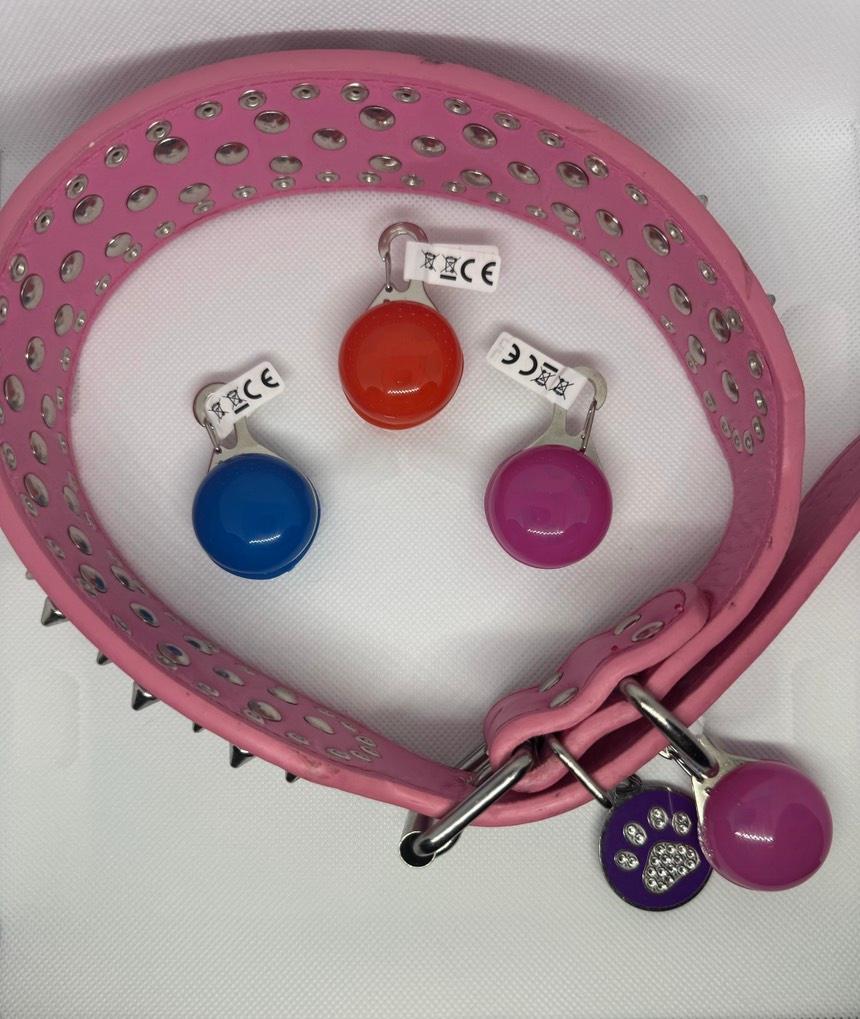 LED Safety Collar Light Charm