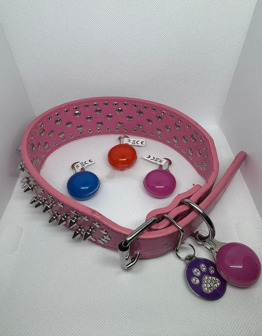 LED Safety Collar Light Charm