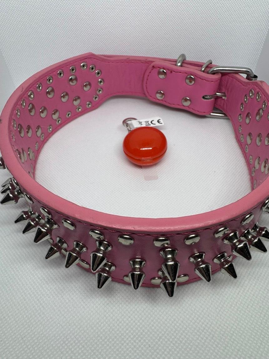LED Safety Collar Light Charm