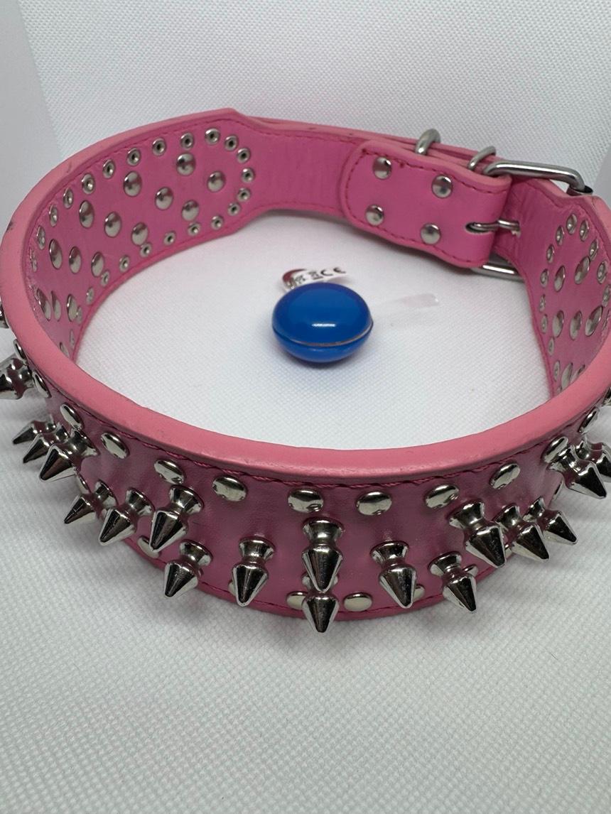 LED Safety Collar Light Charm