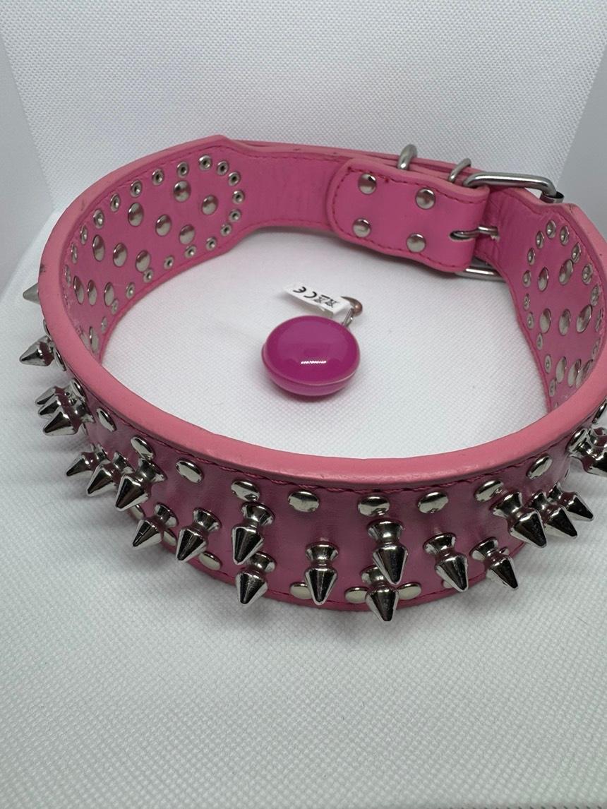 LED Safety Collar Light Charm