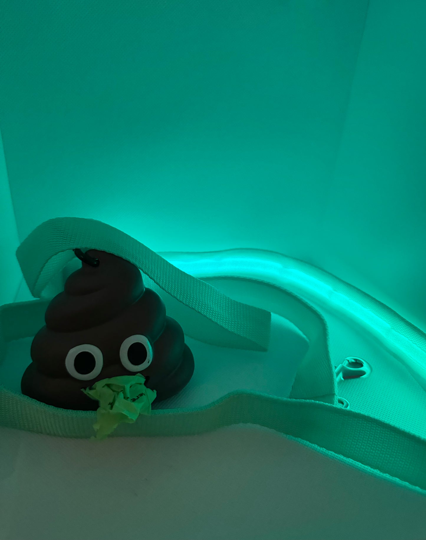 Poop Emoji Dog Waste Bag Dispenser