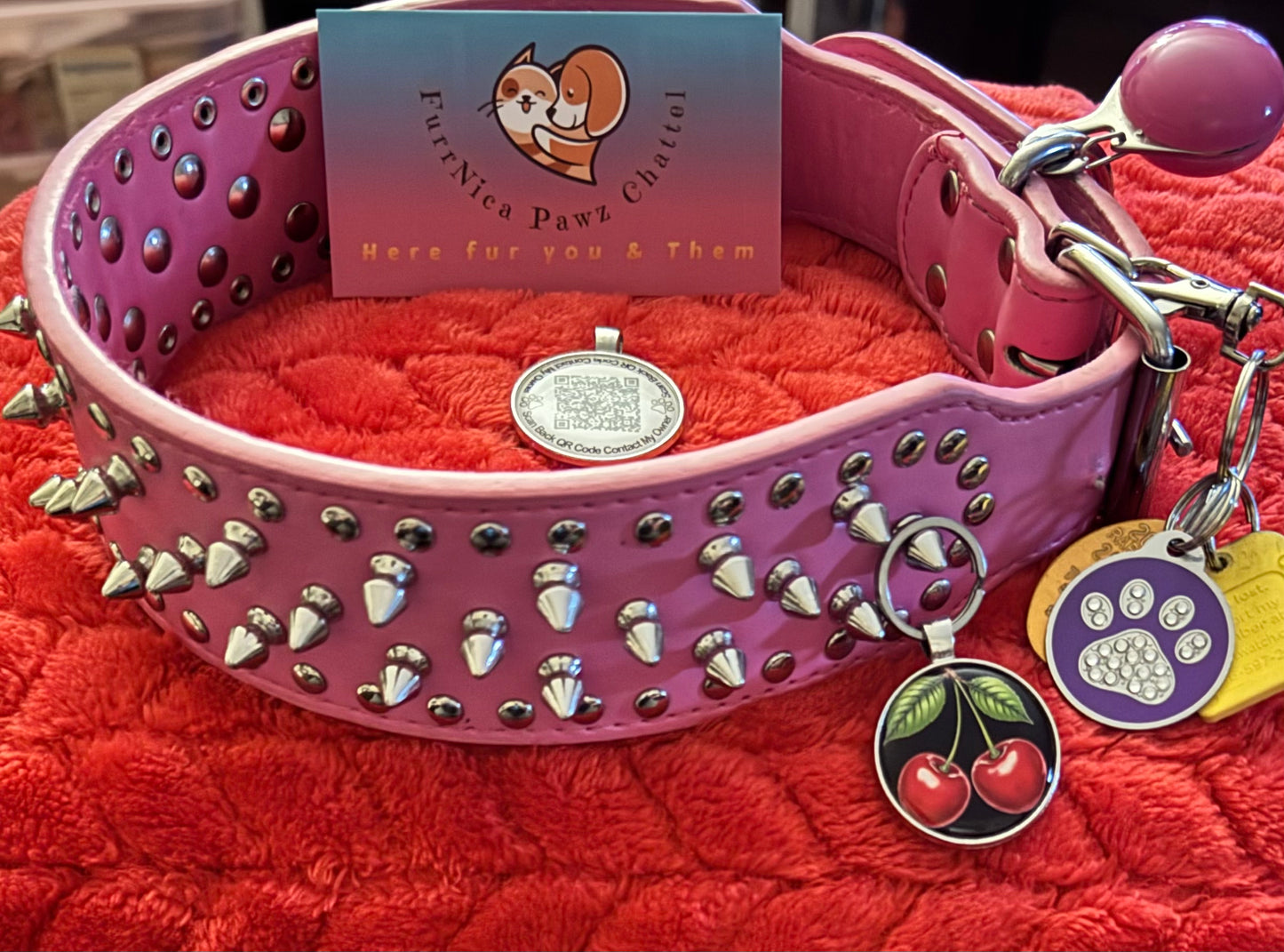 QR Pet Tag