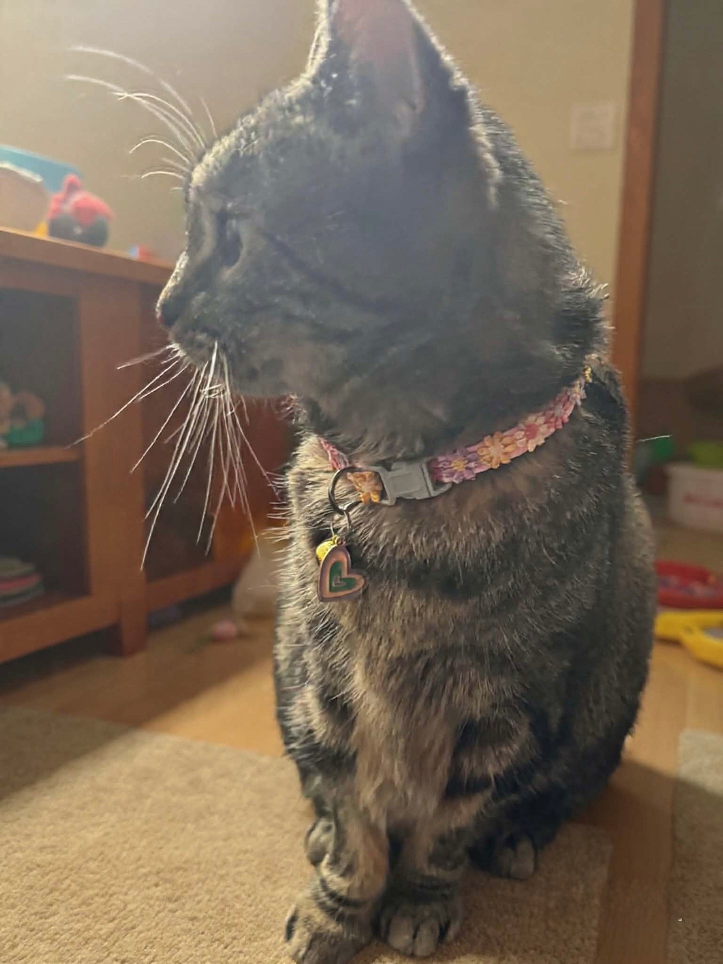 1 pc Lace Cat Collar with pendant