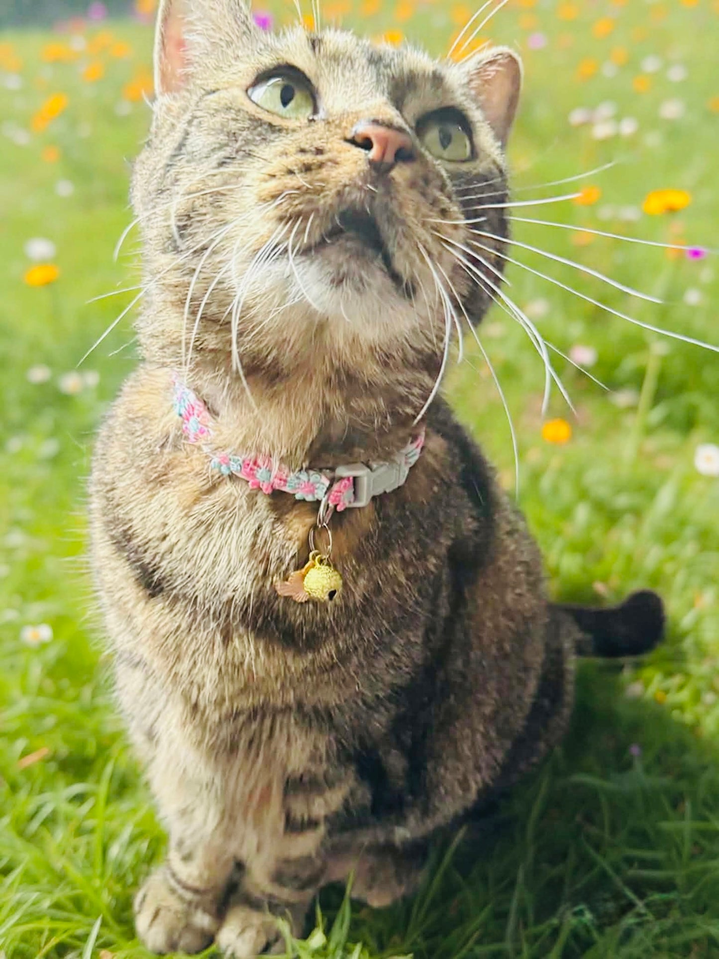1 pc Lace Cat Collar with pendant
