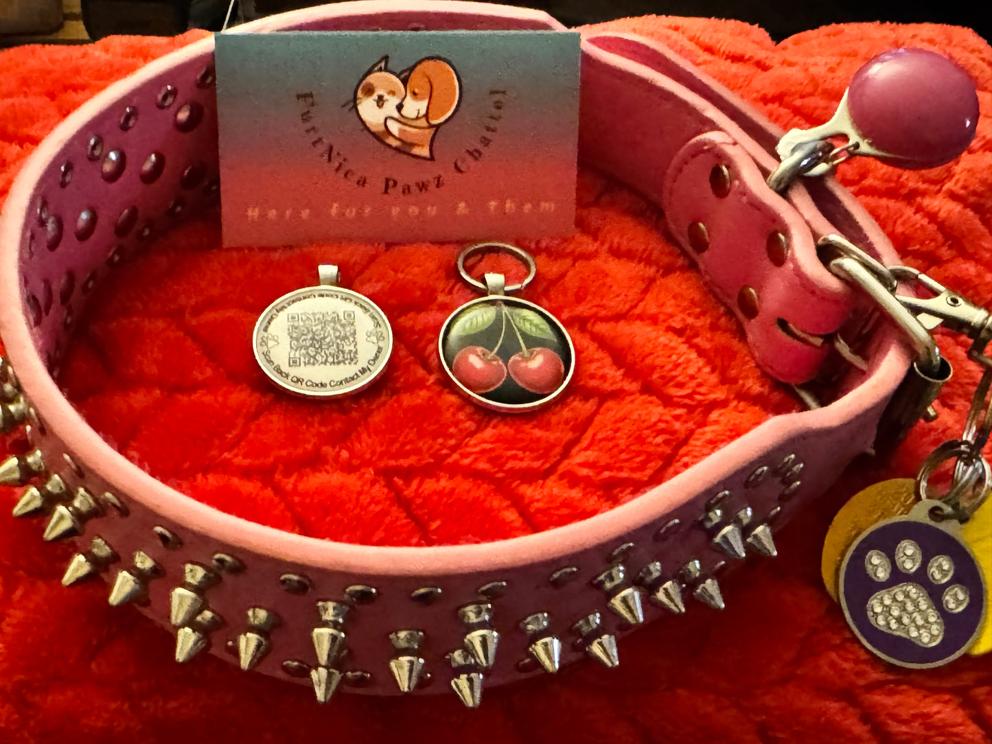 QR Pet Tag