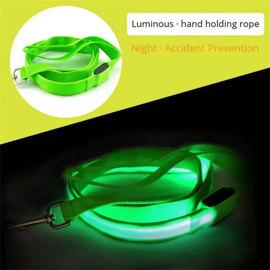 Secure Night Walk LED Dog Leash