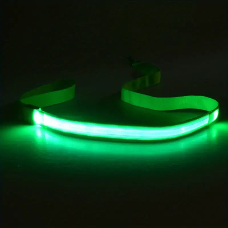 Secure Night Walk LED Dog Leash