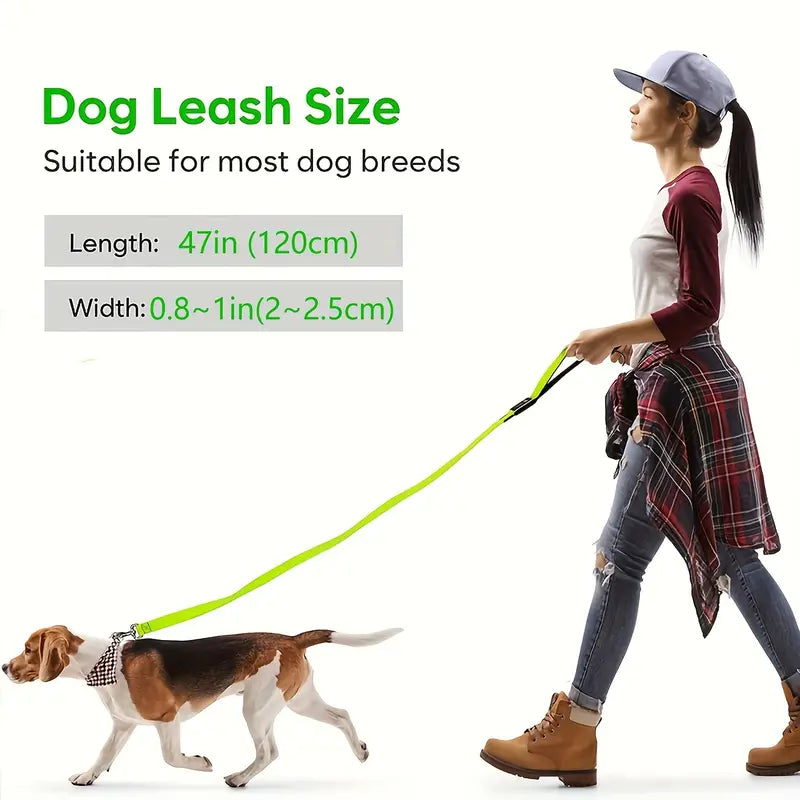 Secure Night Walk LED Dog Leash