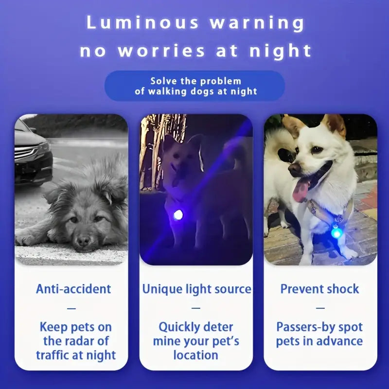 LED Safety Collar Light Charm