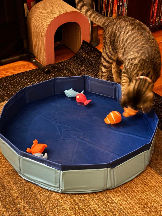 Foldable Pet Water Play Mat