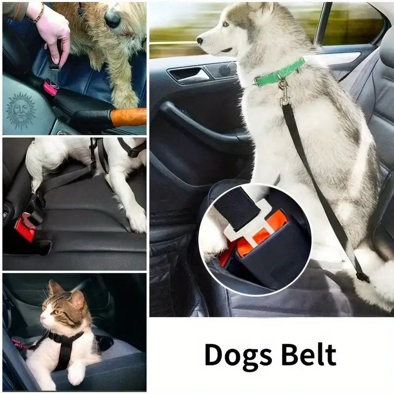 Universal Pet Safety Seatbelt