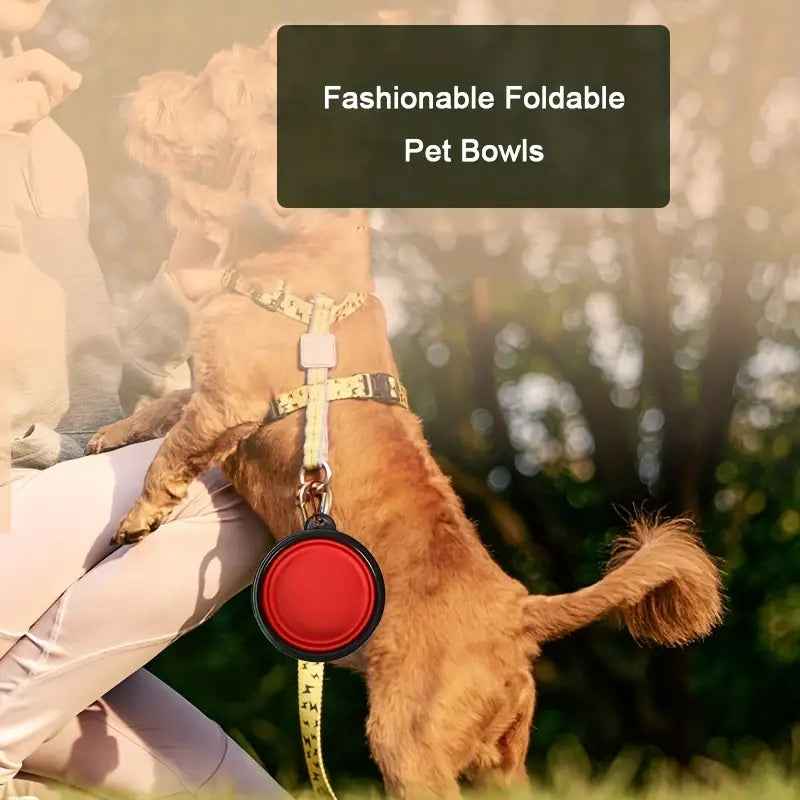 Portable Pet Collapsible Bowl