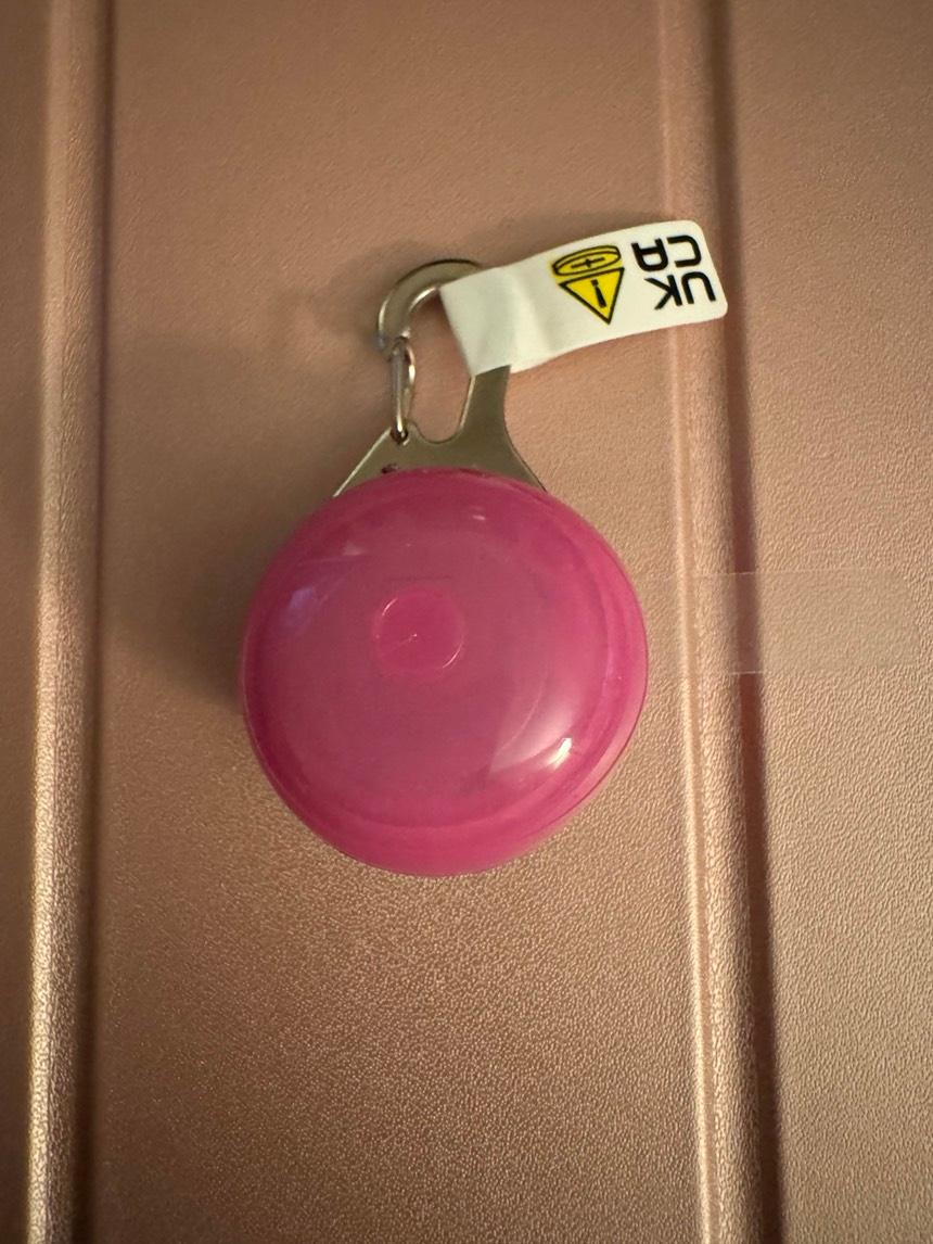 LED Safety Collar Light Charm