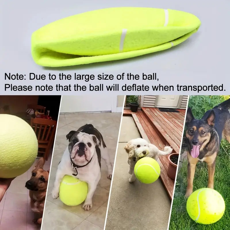 Interactive Dog Tennis Ball - Bouncy & Perfect for Small to Medium Breeds - Ideal for Training & Outdoor Play, Encourages Active Exercise