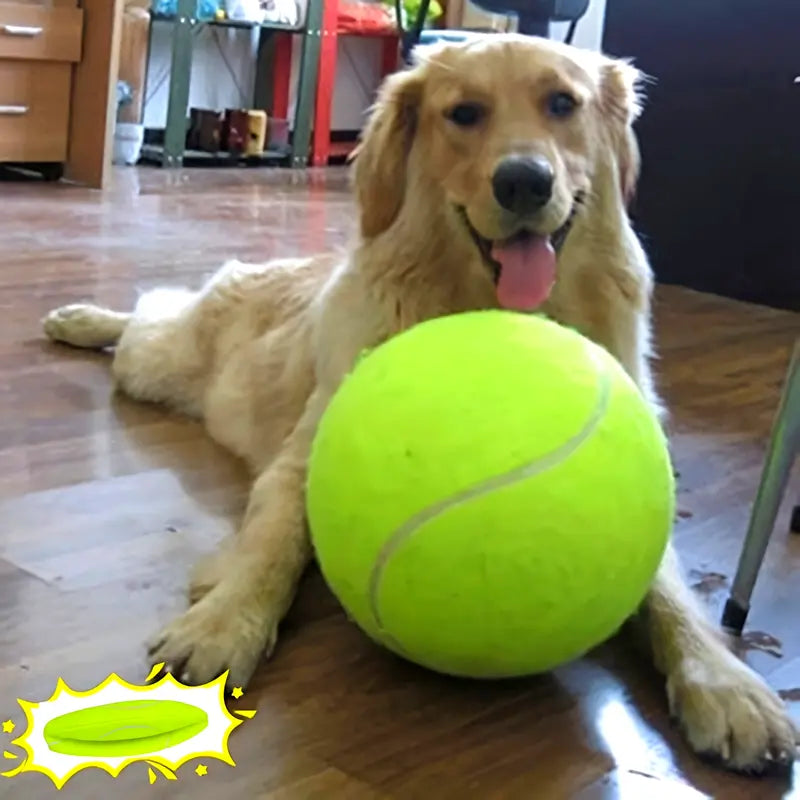Interactive Dog Tennis Ball - Bouncy & Perfect for Small to Medium Breeds - Ideal for Training & Outdoor Play, Encourages Active Exercise